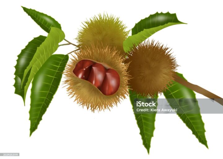 Antonio José Lerma Ruiz