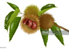 Antonio José Lerma Ruiz