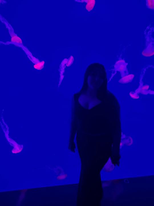Annamaria Abate