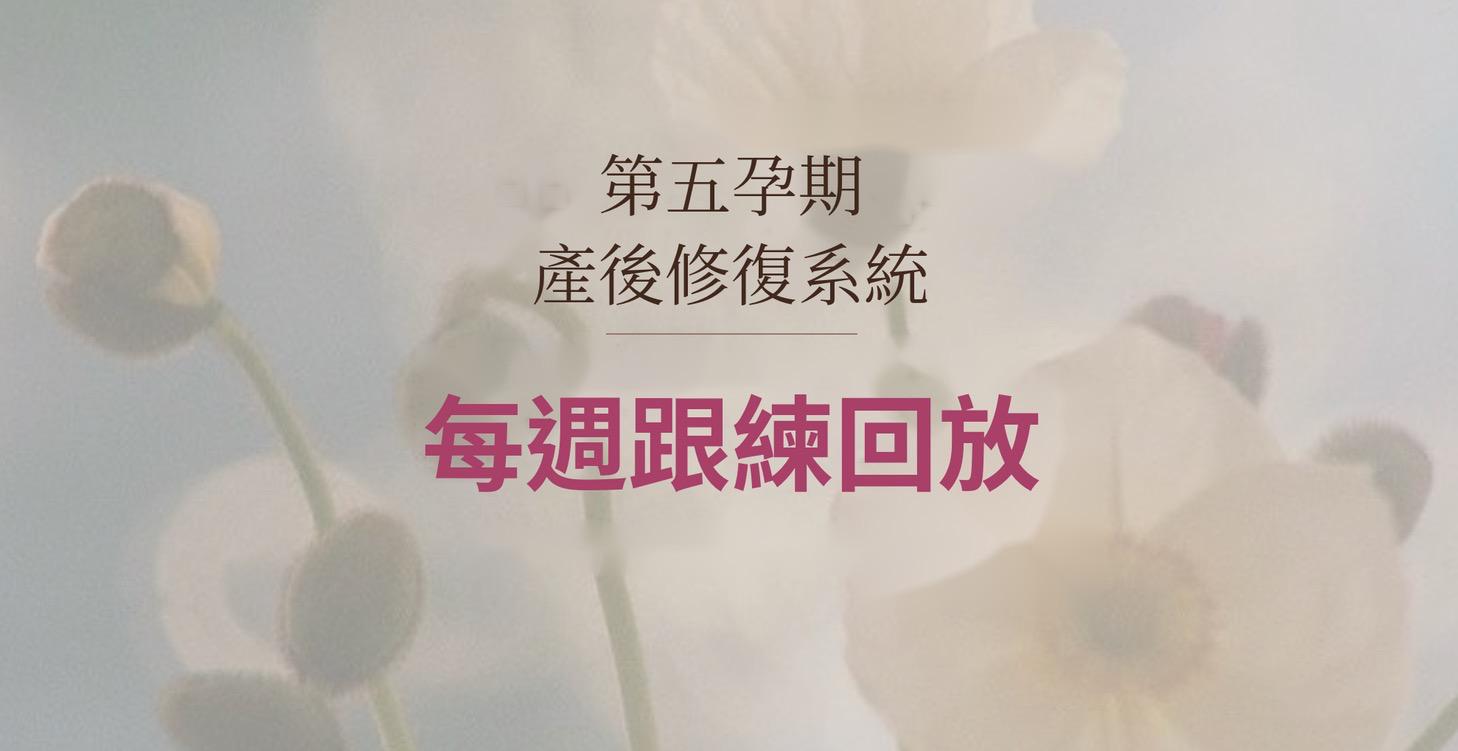 《第五孕期 | 每週跟練》