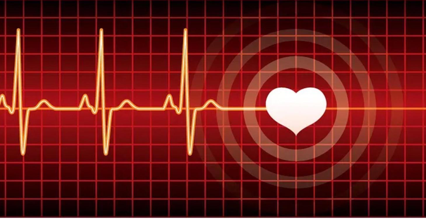 UNIVERSAL MARKETING PLAN FOR ANY BUSINESS