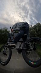 Spiekerooger Bmx Boys