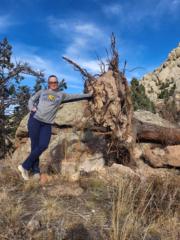 Sharon Bywater-Reyes