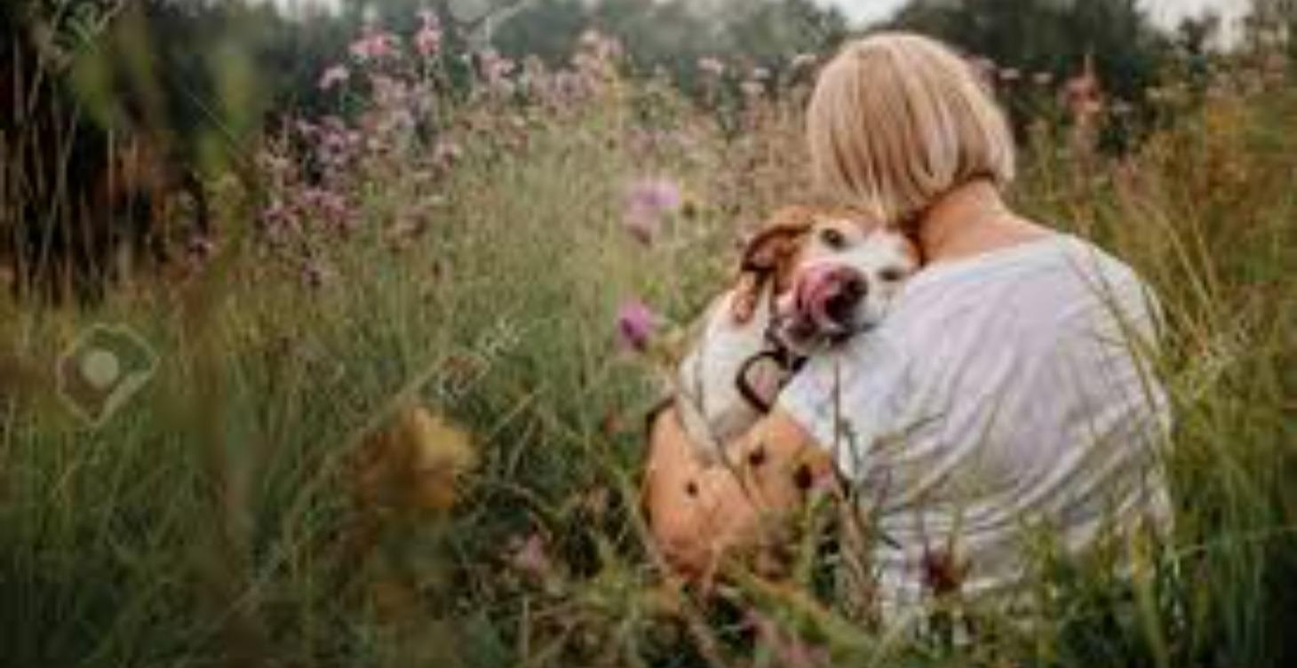 Level 2: The Calm & Confident Dog in Action