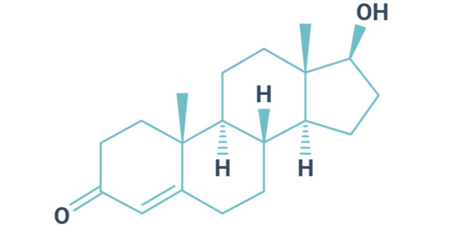 Testosterone Optimization