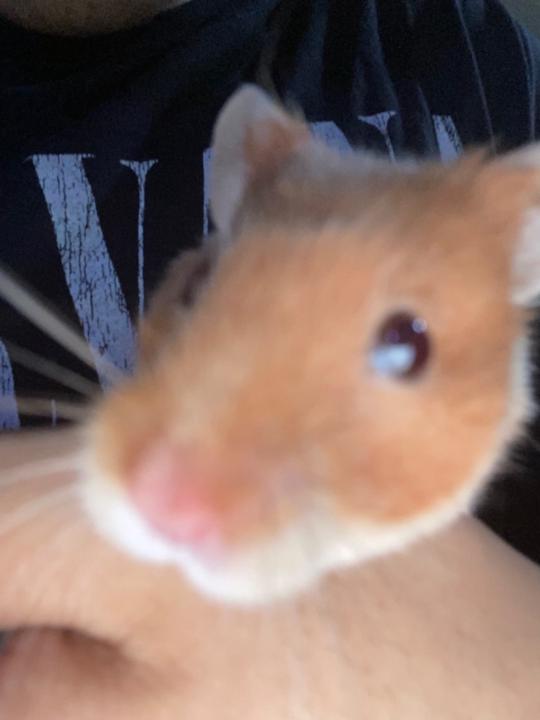 Diego Jaime Hernández López