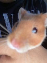 Diego Jaime Hernández López