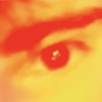 Dylan D