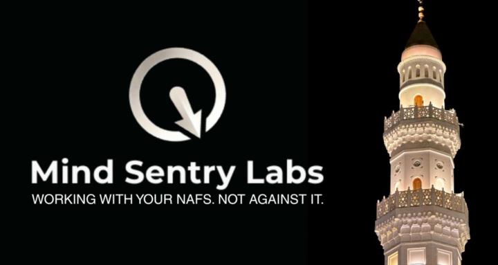 Mind Sentry Labs