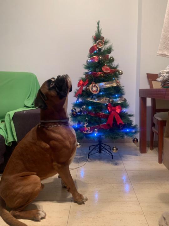 Jose Juan Ramirez Sandalio