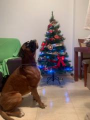 Jose Juan Ramirez Sandalio