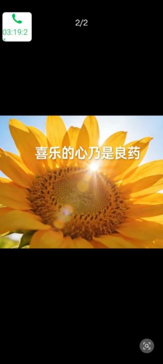 永玲 沈
