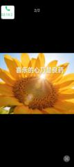 永玲 沈