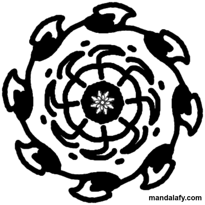 Zoom - Tomorrow - Is that true?