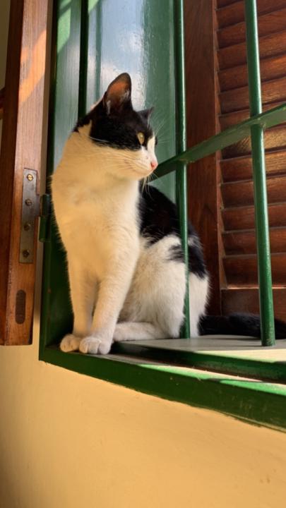 Facundo Ceballos Avila