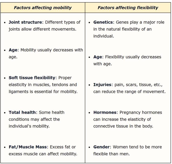 🧘‍♀️ Flexibility and Mobility: Moving with Freedom and Ease
