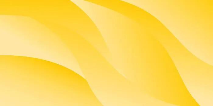 Simone Folletti