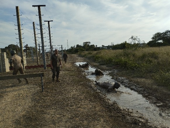 Chechu Martin-Mateos