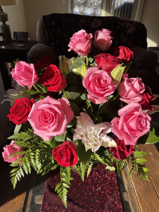 ILY Dream Girls  💕