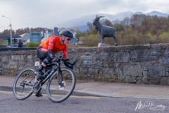 Daire Feeley