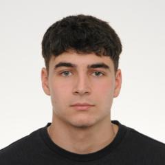 Nikola Stoev