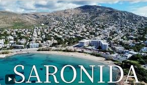 Société SARONI David