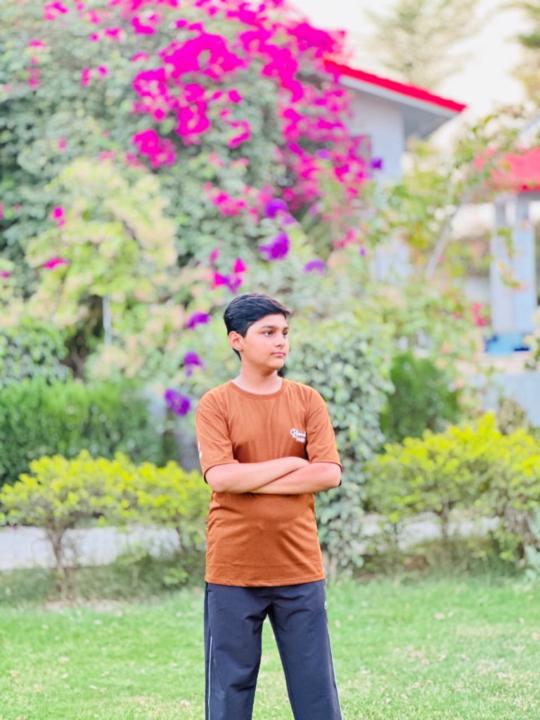 Arsal Zafar
