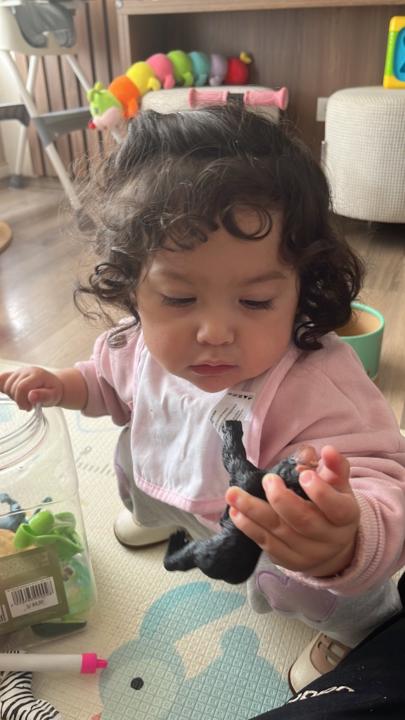 Carlos Alberto Paredes Tuesta