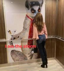 Donna Bianco Costarella