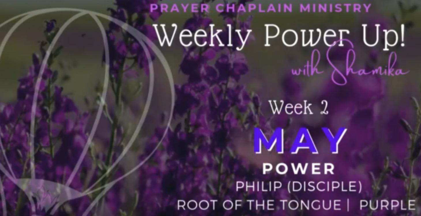 Content Creator RoundUp