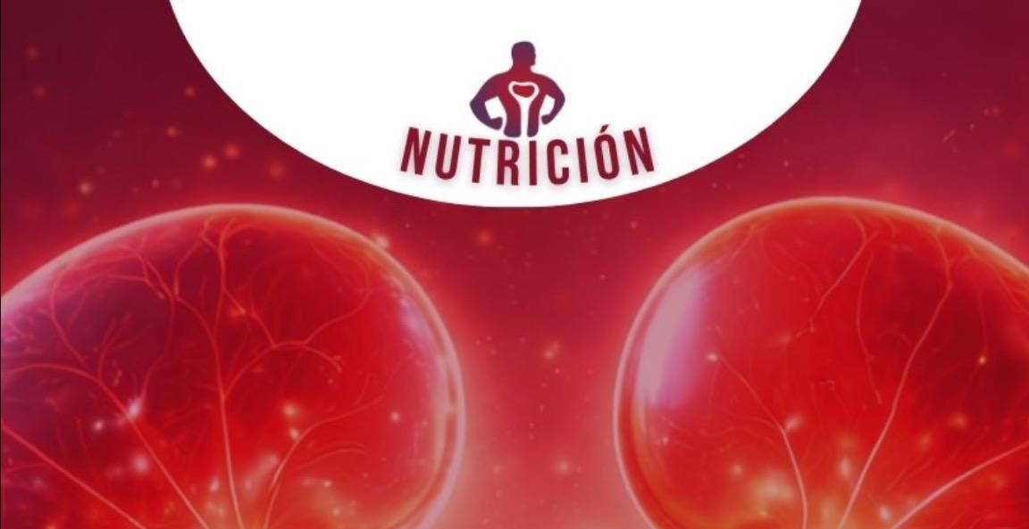 CLASE NUTRICIÓN RENAL