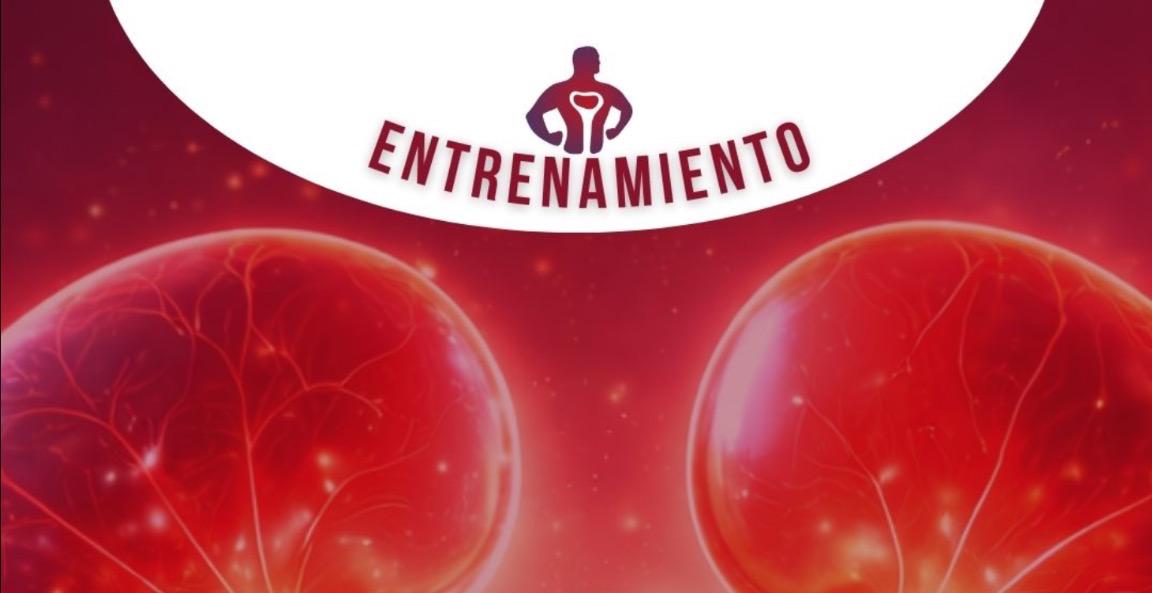 CLASE ENTRENAMIENTO Y PROGRAMACIÓN EN LA ERC