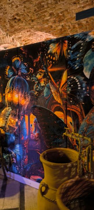 Maria Carolina Barrionuevo