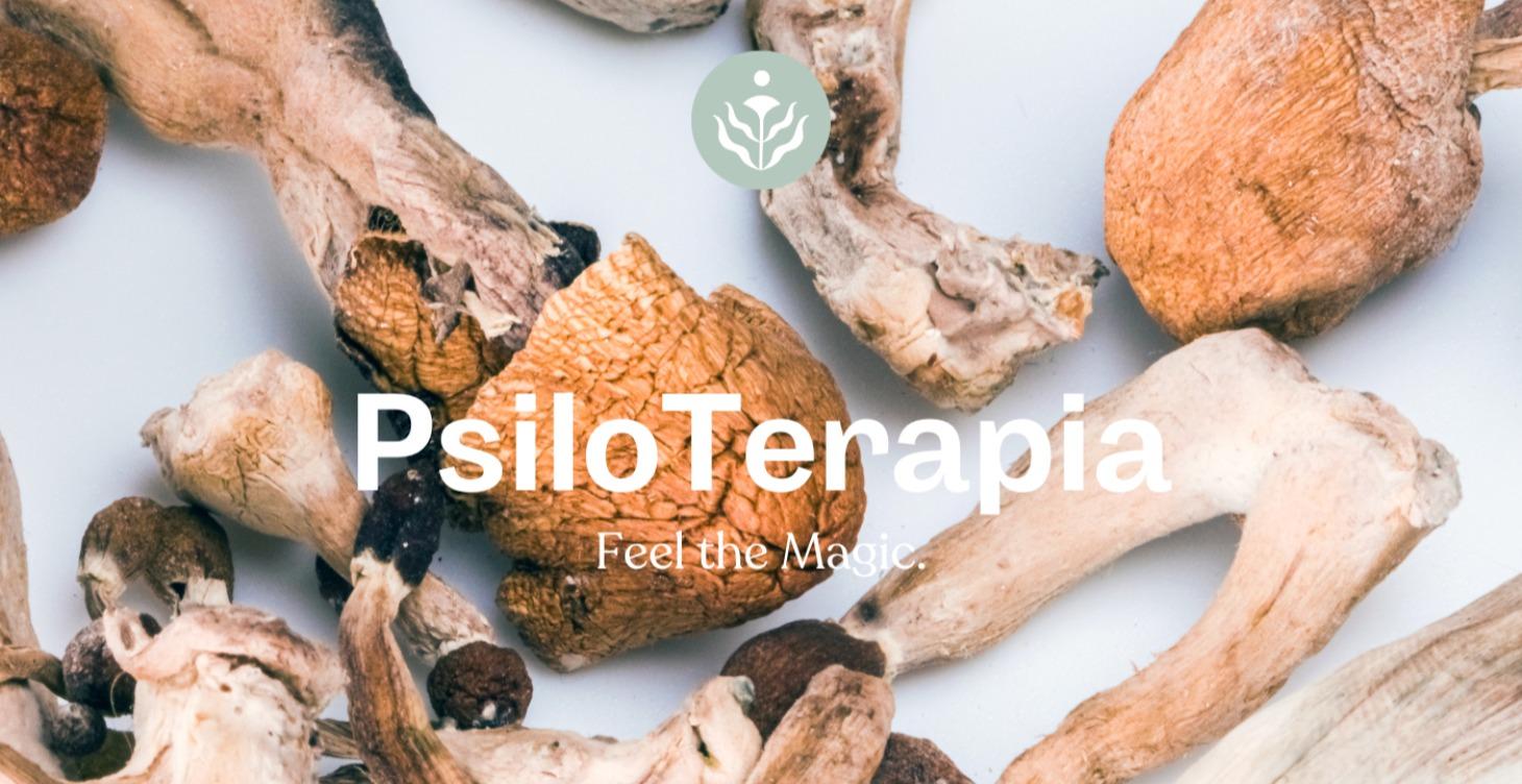 PsiloTerapia: Microdosis y Macro