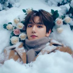 Mennatullah Mansour Abdelkaliq