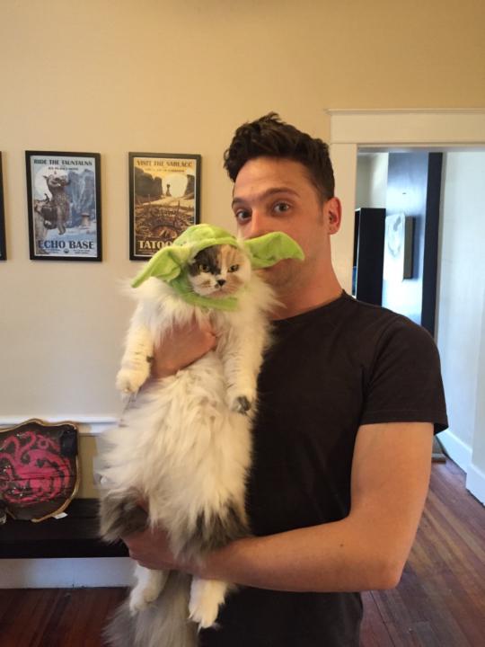 Jhed Robertson Stewart