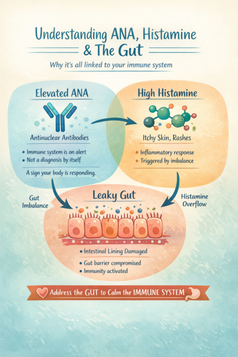 ANA (Autoimmune) - Leaky Gut - Histamine Connection 