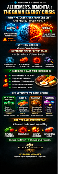 🧠 Alzheimer’s, Dementia & The Brain Energy Crisis