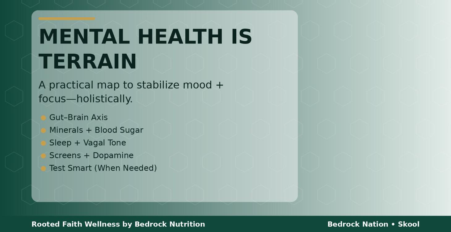 NeuroTerrain: The Gut-Brain Mental Health Map