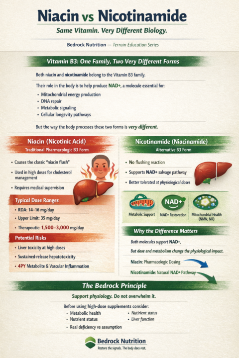 Case Study: Why We Use Nicotinamide Instead of High-Dose Niacin