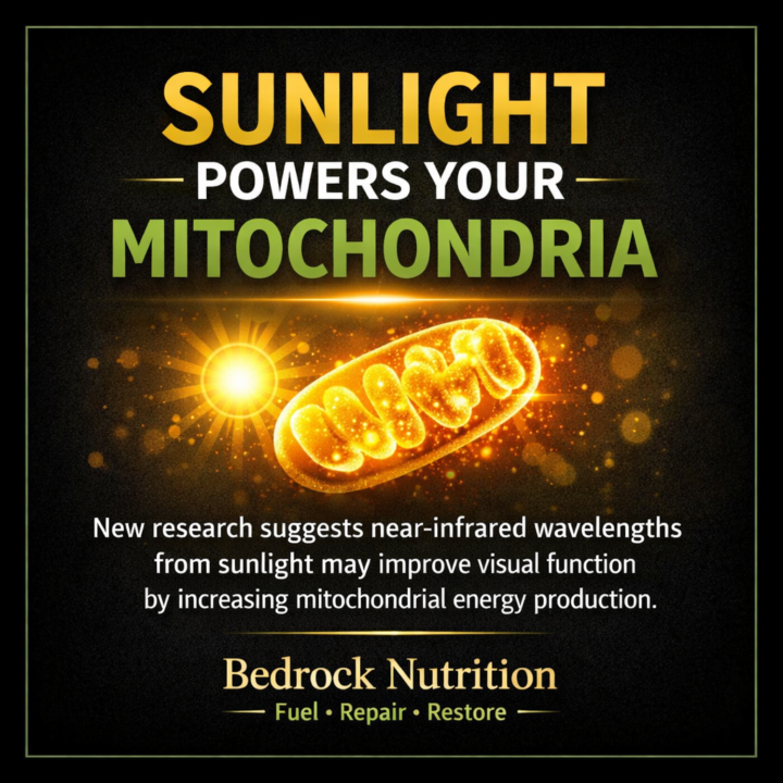 ☀️ Sunlight, Mitochondria, and Vision: Why Humans Are Designed for the Sun