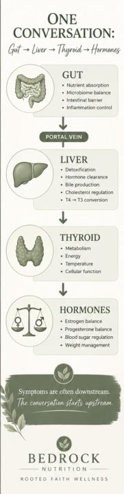 The Conversation Between Your Gut, Liver, Thyroid, and Hormones