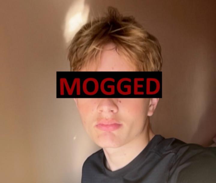 Vojtik Does not mog
