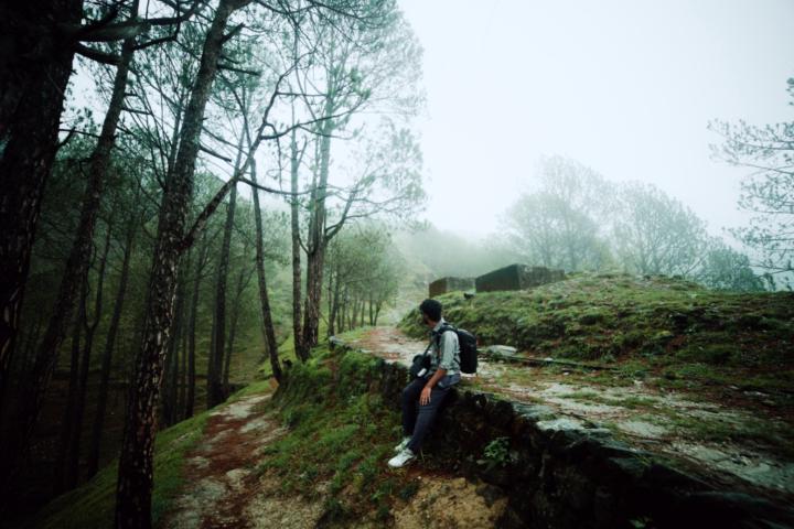 Ankit Negi