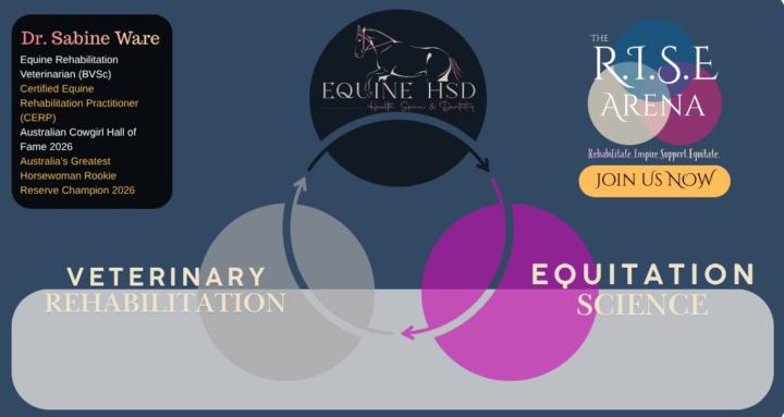 EquineHSD - The RISE Arena 
