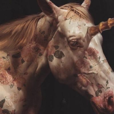 Gizem Denizoğlu Şen