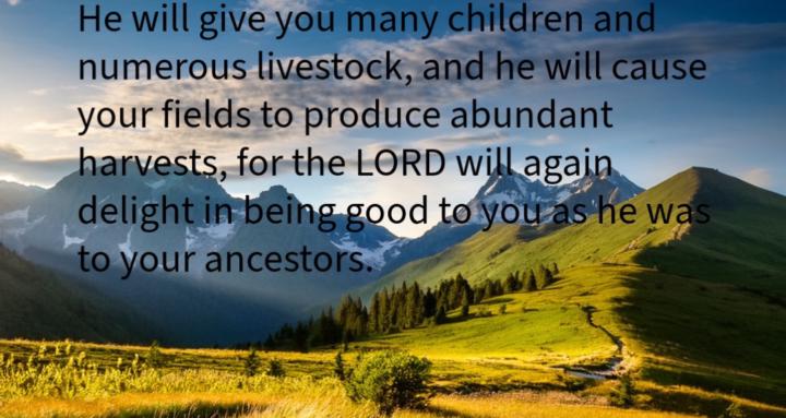 Kingdom Revival Ministries