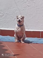 Ibon Martínez