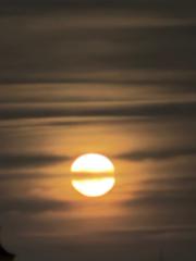 Rising Sun