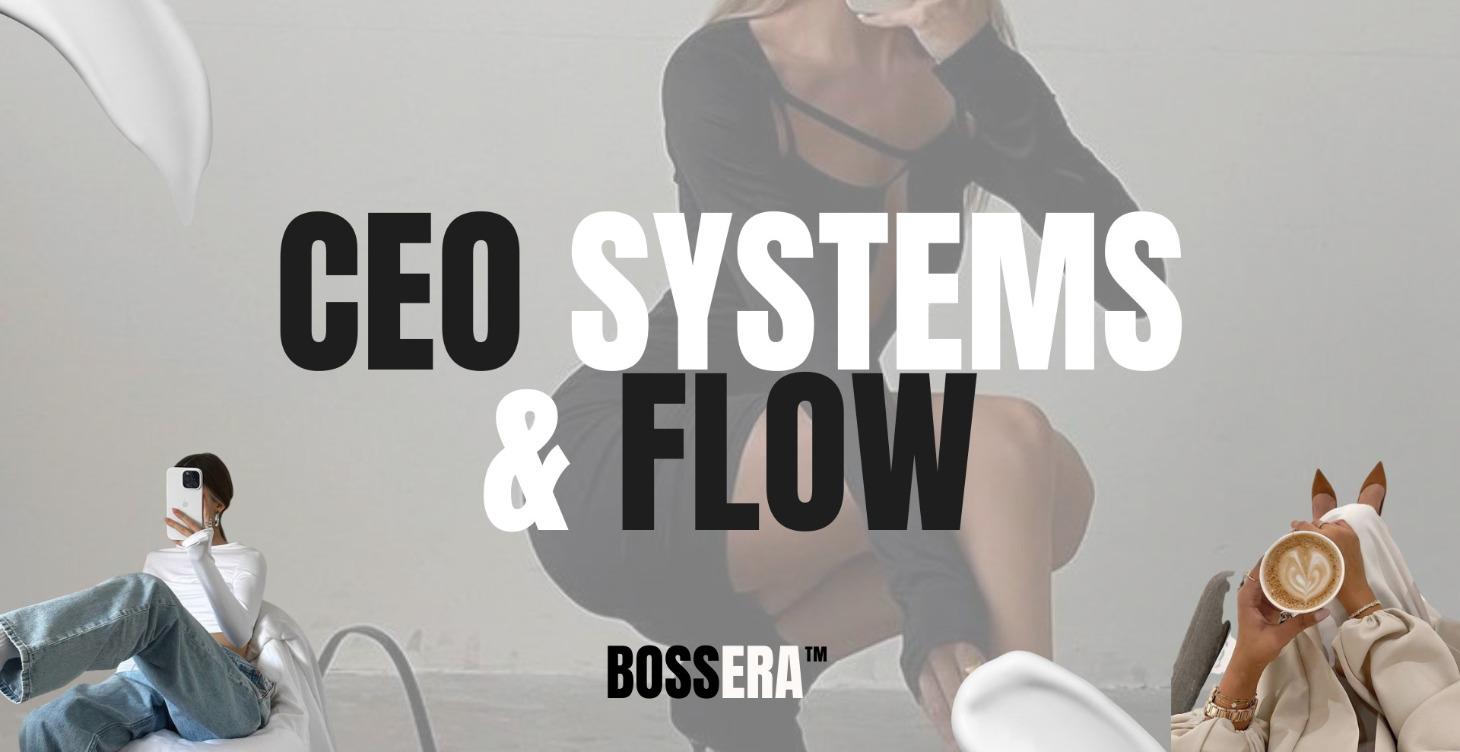 CEO Systems & Flow